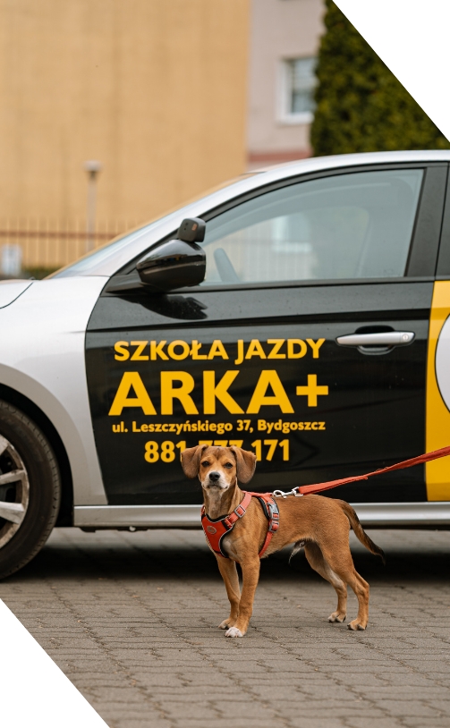 Killer pracownik biurowy